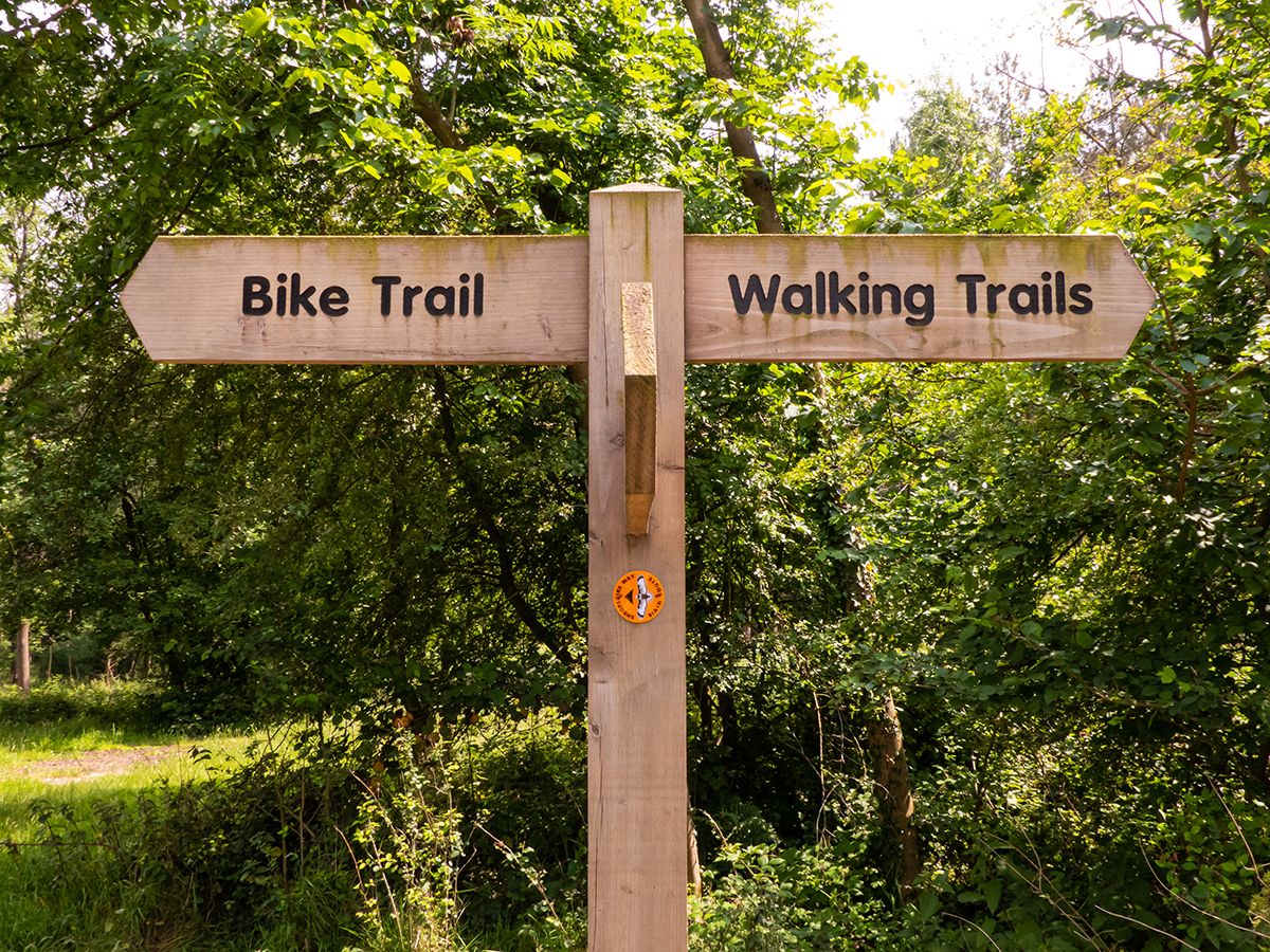 Country park signpost in the woodland at Haughmond Hill, Shropshire, UK, showing ‘Bike Trail’ to the left and ‘Walking Trails’ to the right.