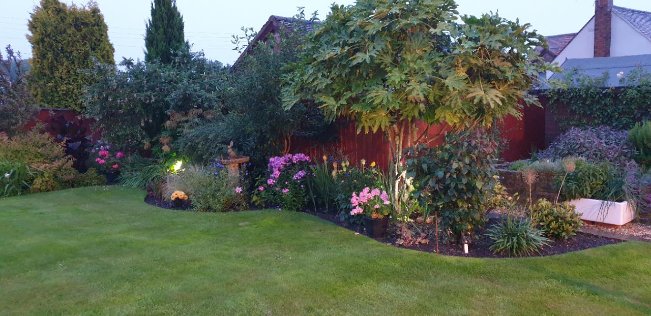 Mount Pleasant, Ketley Bank, Telford, TF2 - DB Roberts
