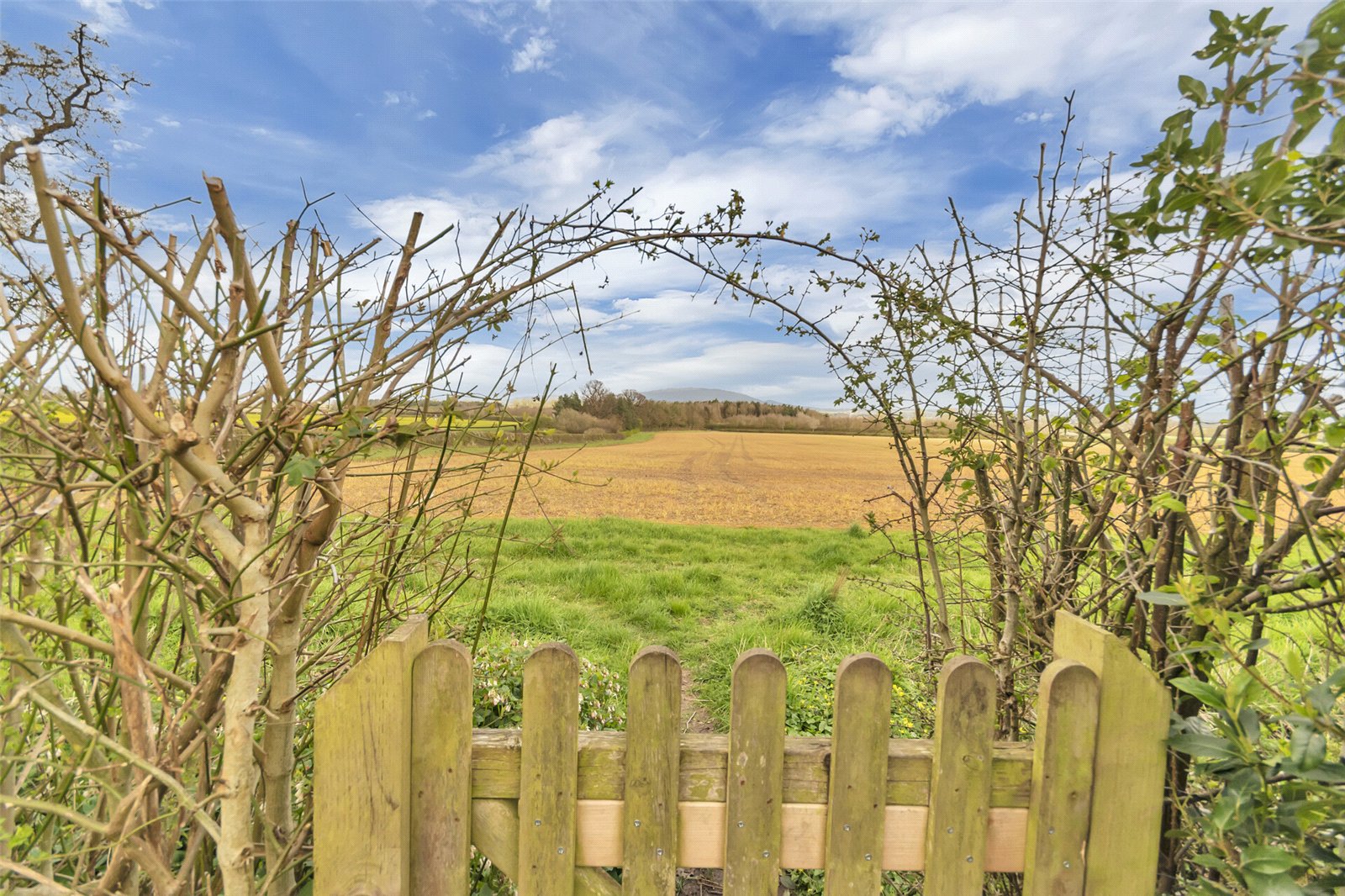 Pelham Road, Upton Magna, Shrewsbury, SY4 - DB Roberts