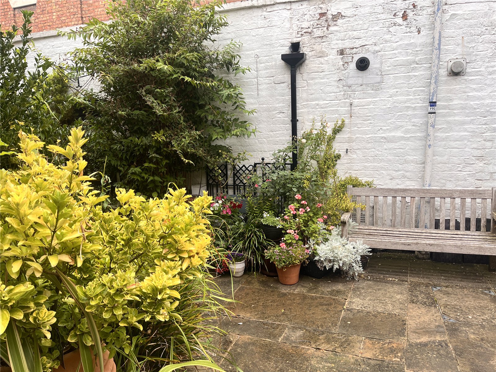 Wyle Cop, Shrewsbury, Shropshire, SY1 - DB Roberts