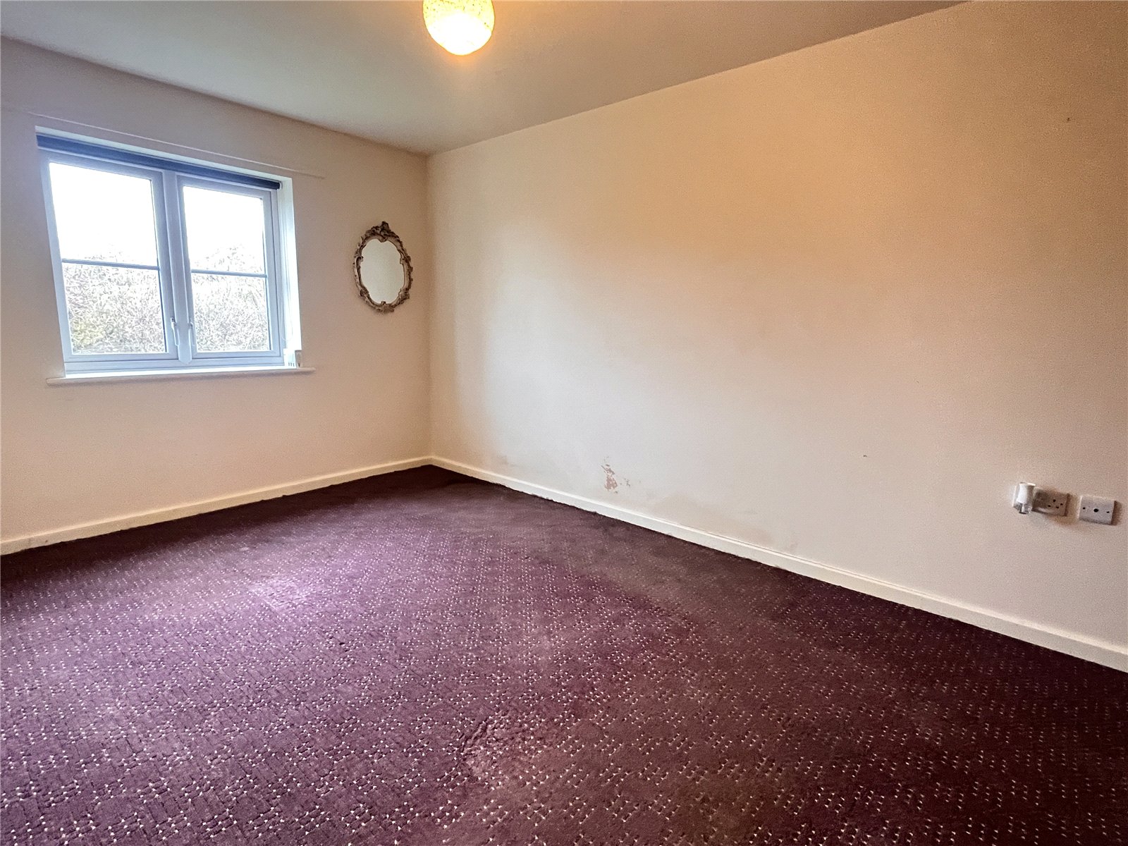 Orchid Meadow, Minsterley, Shrewsbury, SY5 - DB Roberts