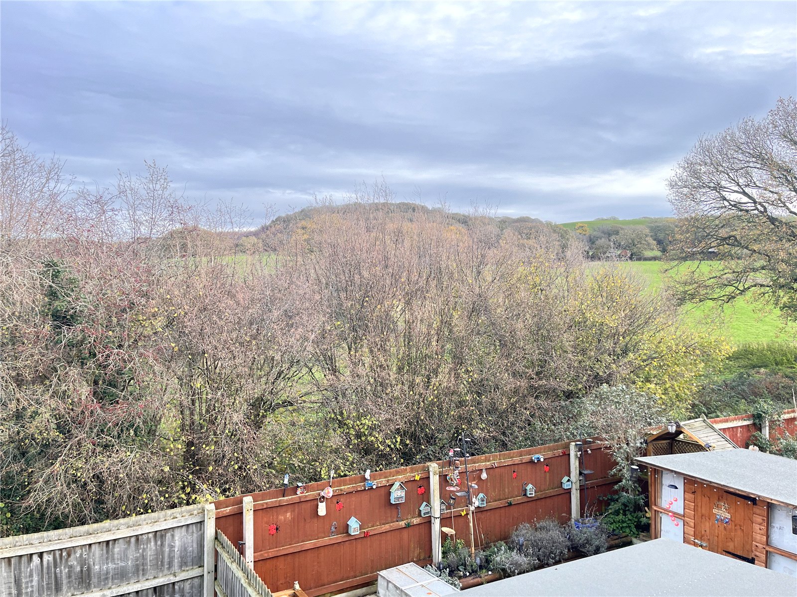 Orchid Meadow, Minsterley, Shrewsbury, SY5 - DB Roberts