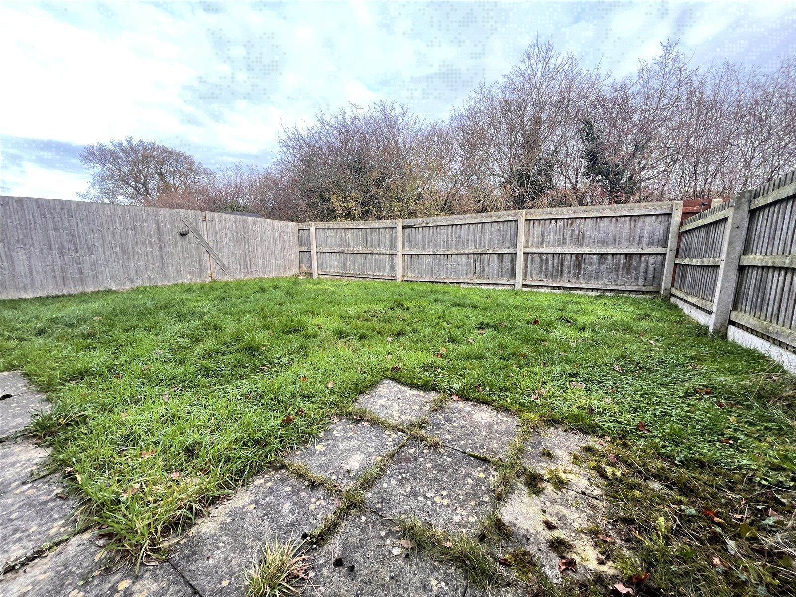 Orchid Meadow, Minsterley, Shrewsbury, SY5 - DB Roberts