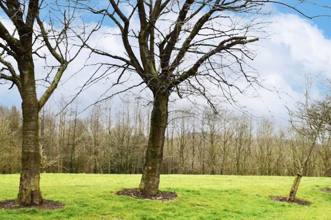 Athol Drive, St. Georges, Telford, TF2 - DB Roberts