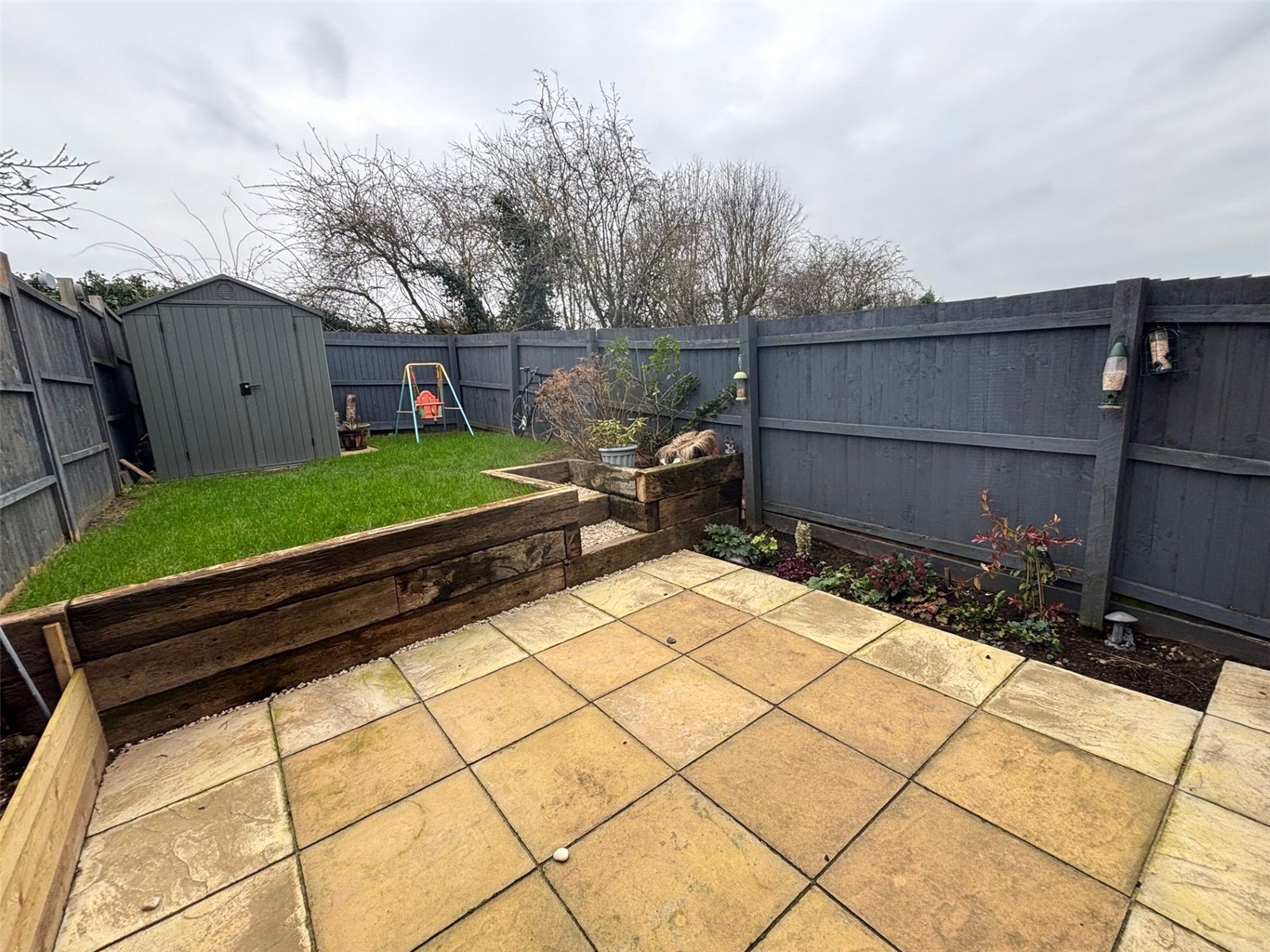 Snowdrop Meadow, Ketley, Telford, TF1 - DB Roberts