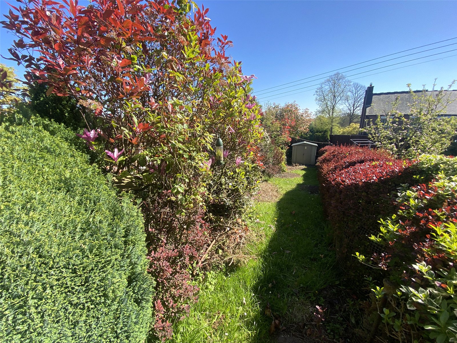 Rock Terrace, St Georges, Telford, TF2 - DB Roberts