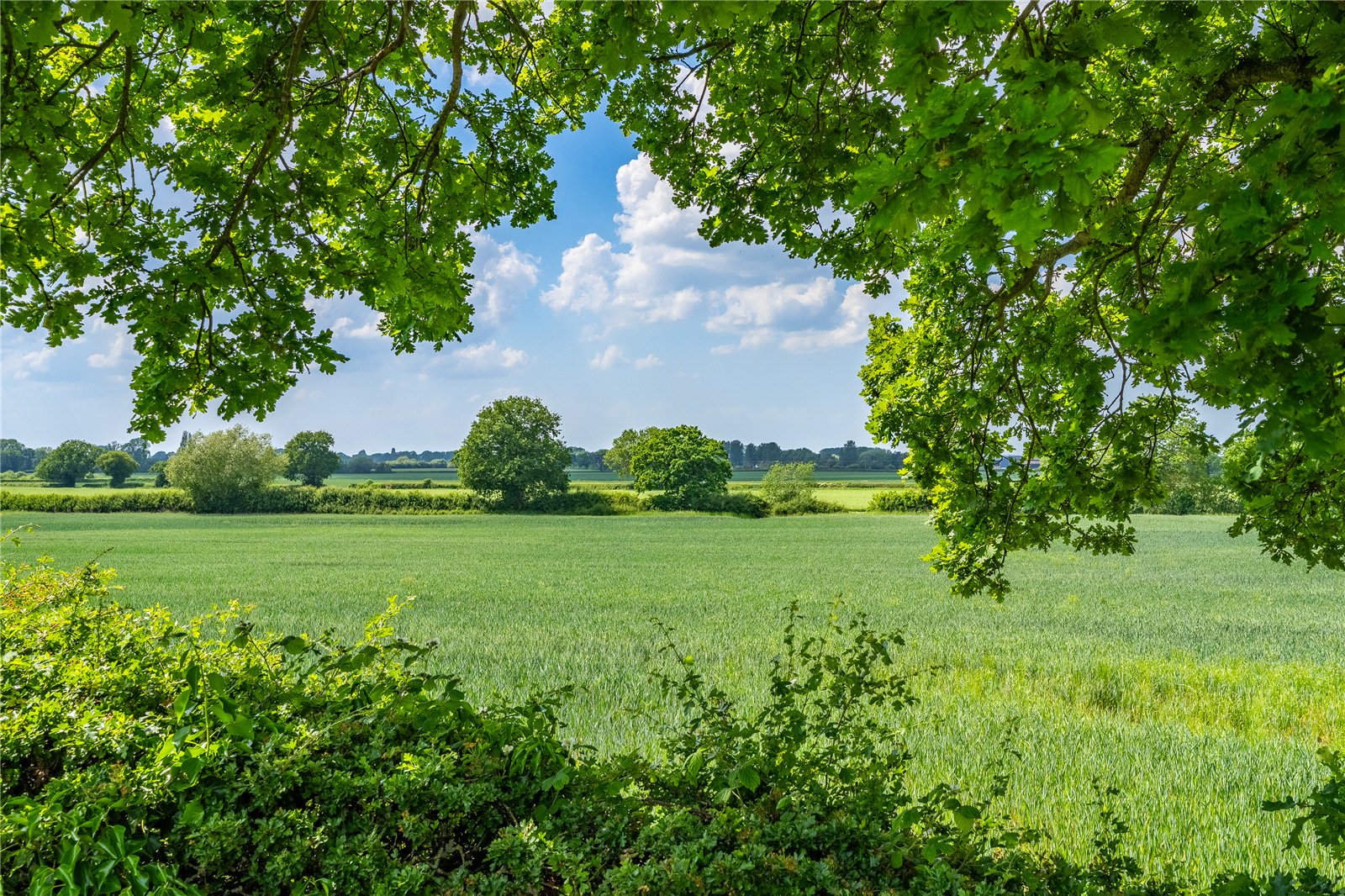 Wheat Leasows, Telford, Shropshire, TF6 - DB Roberts