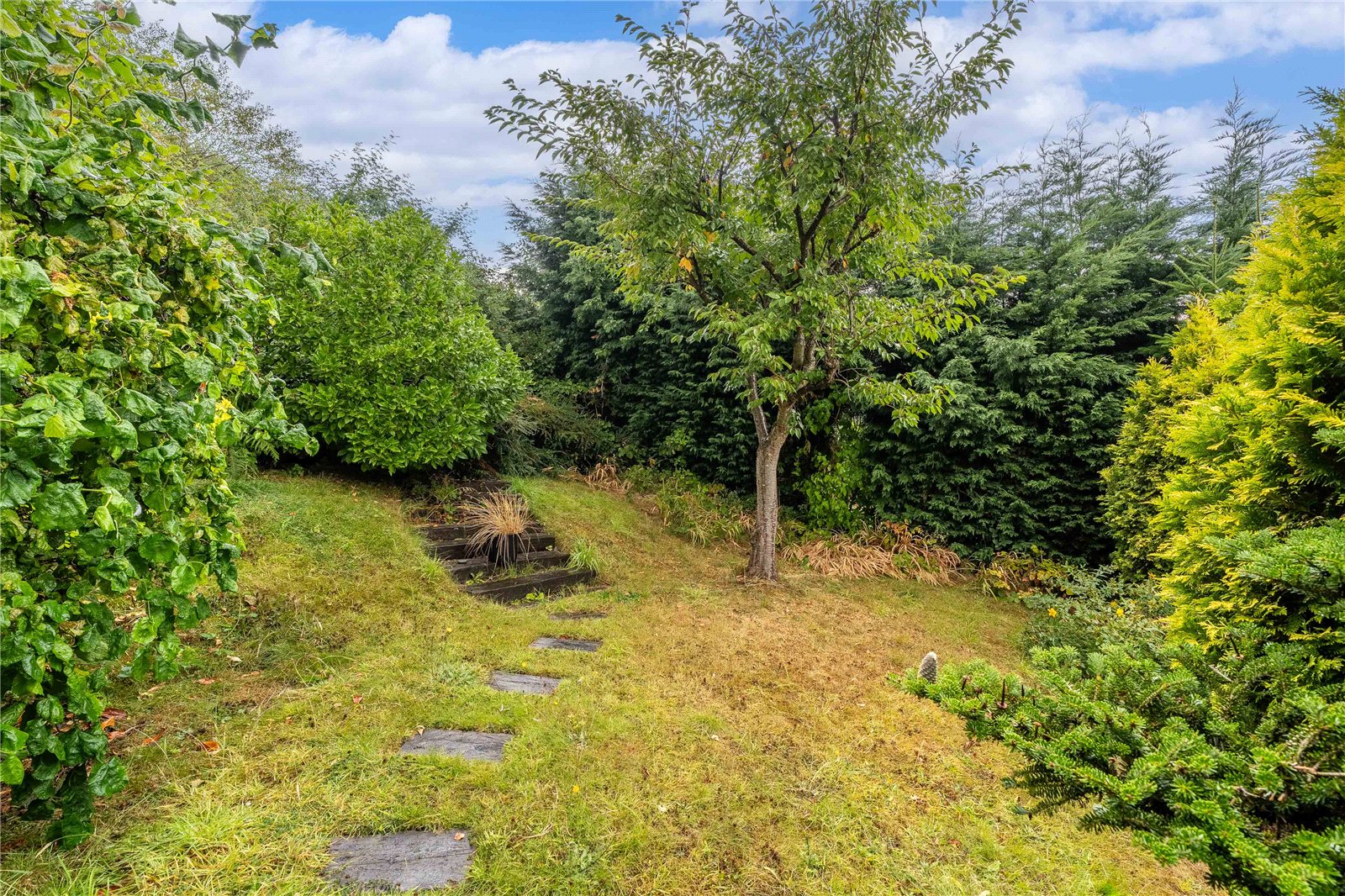 Camberley Crescent, Ettingshall, Wolverhampton, WV4 - DB Roberts